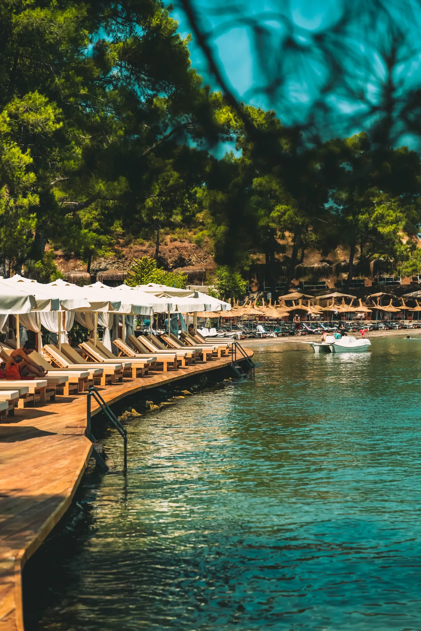 Küçük Samanlık — Firma çalışması
