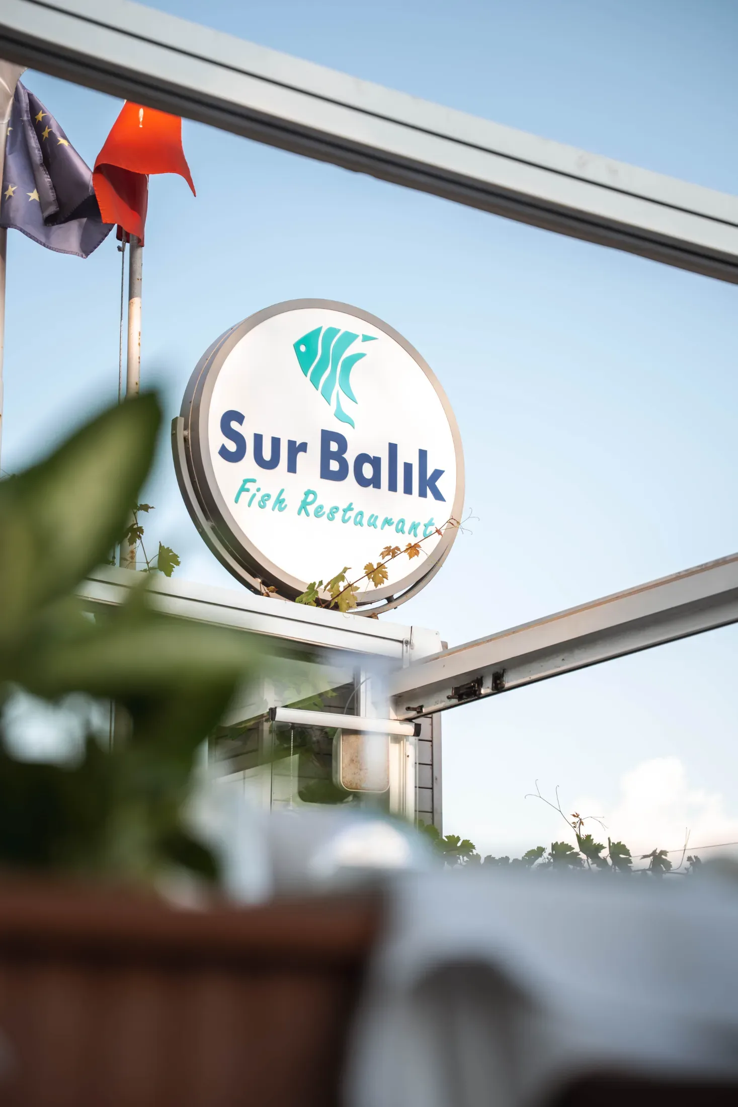 Sur Balık — Firma çalışması