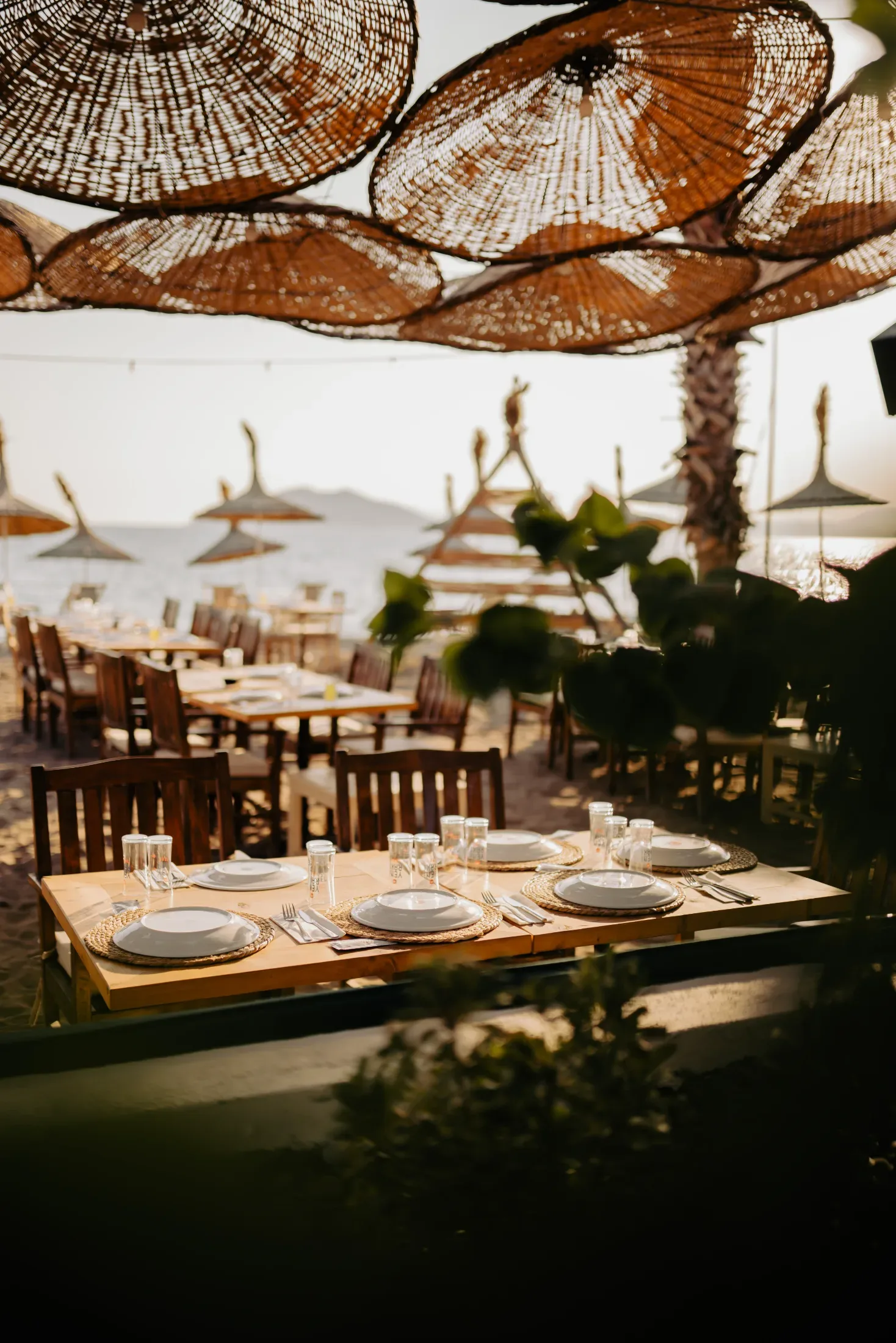 Ala Fethiye — Firma çalışması