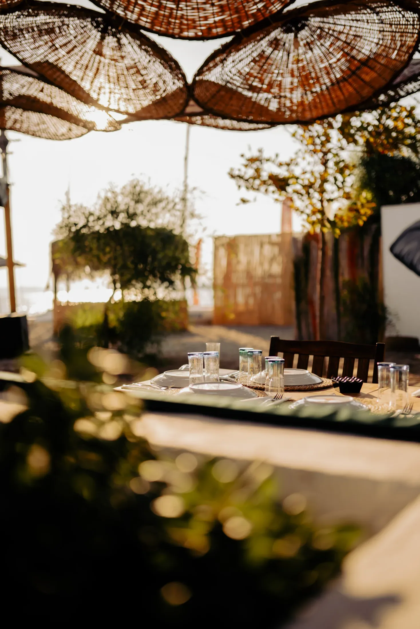 Ala Fethiye — Firma çalışması