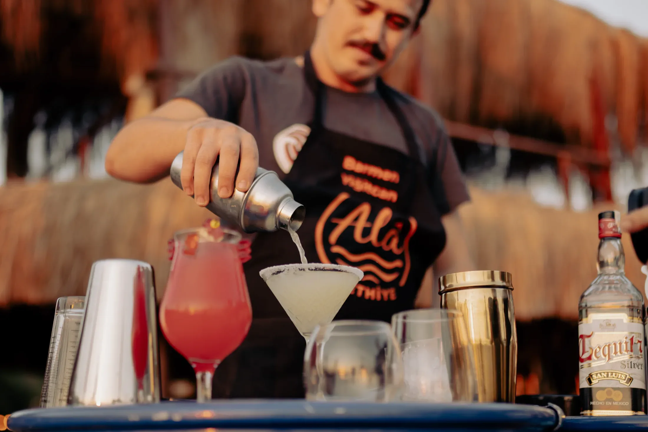 Ala Fethiye — Firma çalışması