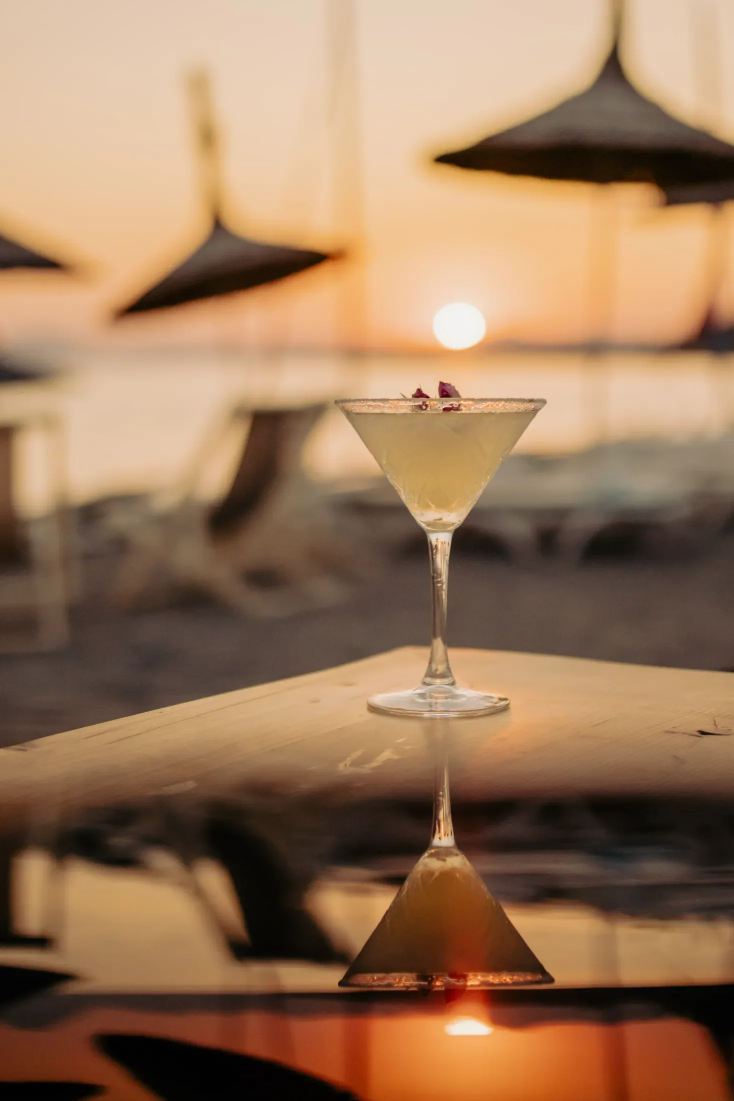 Ala Fethiye — Firma çalışması