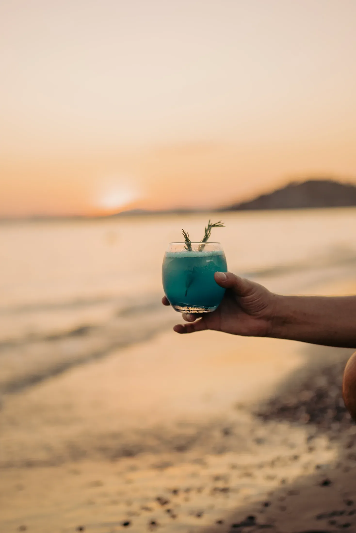 Ala Fethiye — Firma çalışması