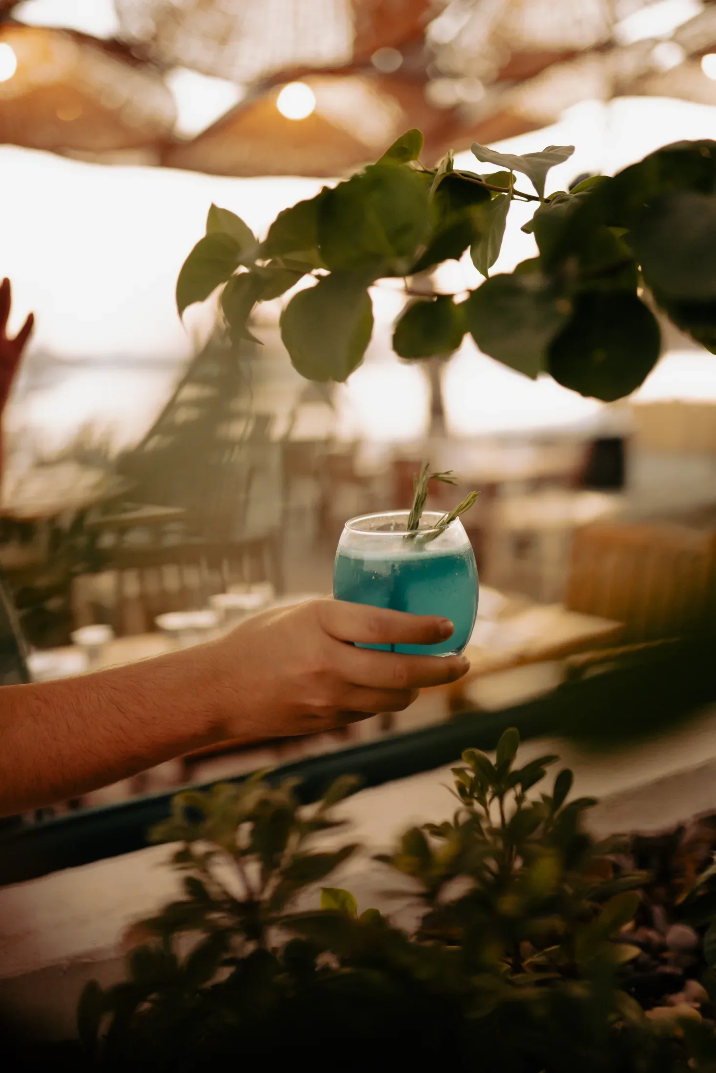 Ala Fethiye — Firma çalışması