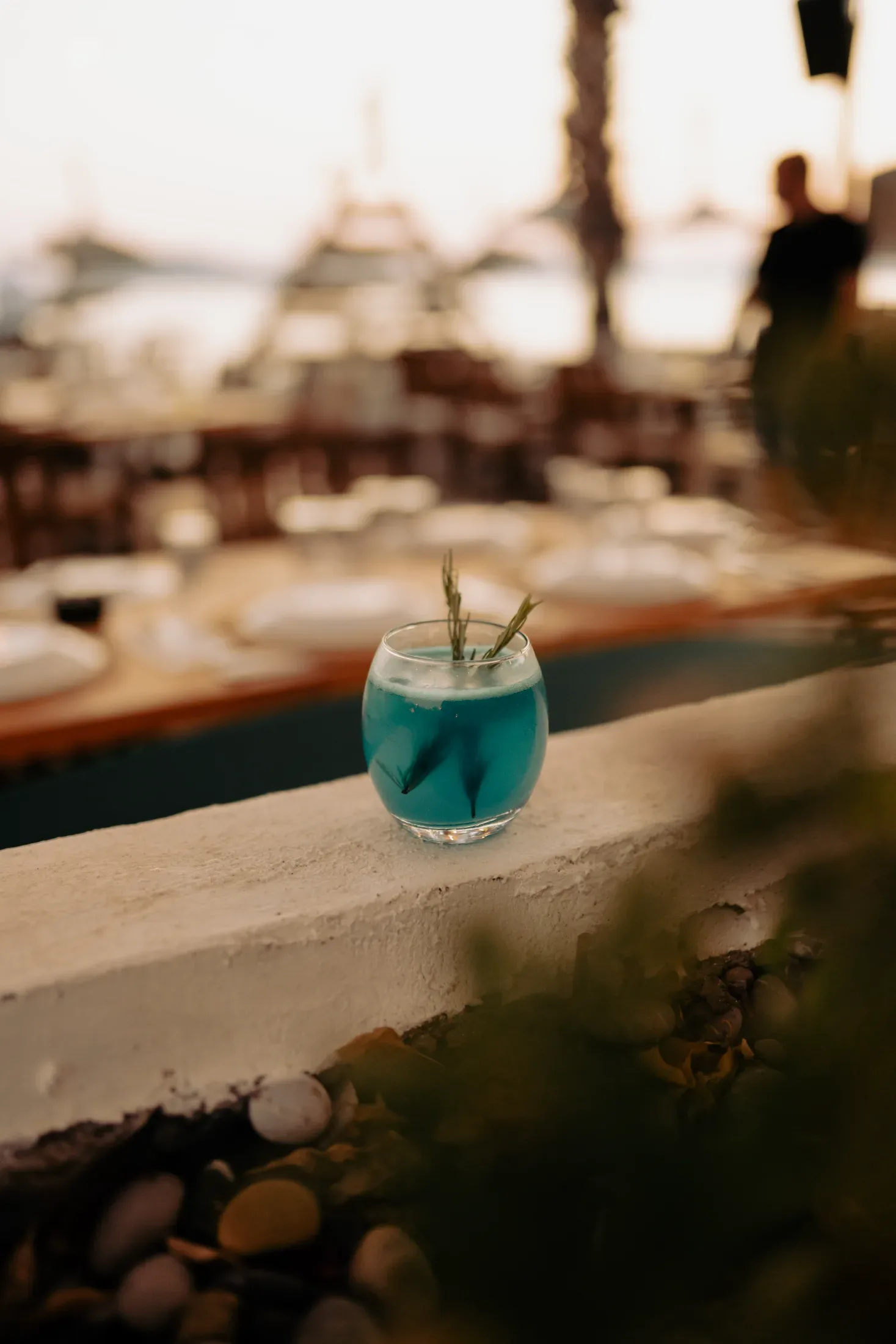 Ala Fethiye — Firma çalışması