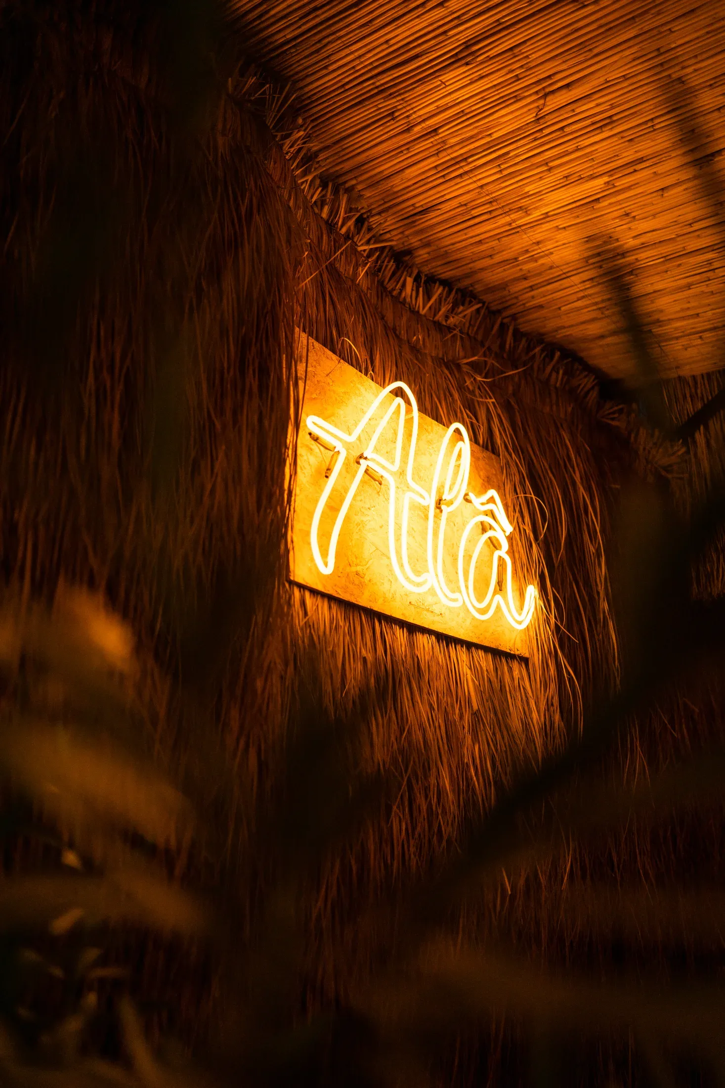 Ala Fethiye — Firma çalışması